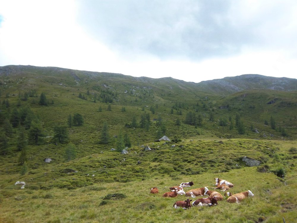 Wandertour - rechts oben: Stubeck, 2370m