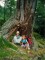 unterm Hexenbaum
20-kinder-baum