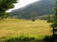 Wiese direkt bei der Htte
11-blick-auf-sonnige-wiese