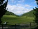 12-wolfsbachtal-weide
