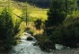 der schne Wolfsbach
05-wolfsbach-sommer