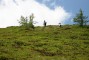hoch hinaus
20-wandern-hoch-hinaus