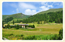 die Wansingalm Urlaub in den Bergen