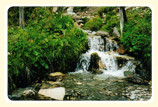 der schöne Wandbach Gebirgsbach