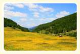 Wolfsbachtal