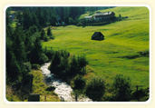 Wansingalm - Wolfsbach