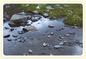 Wasser auf der Alm