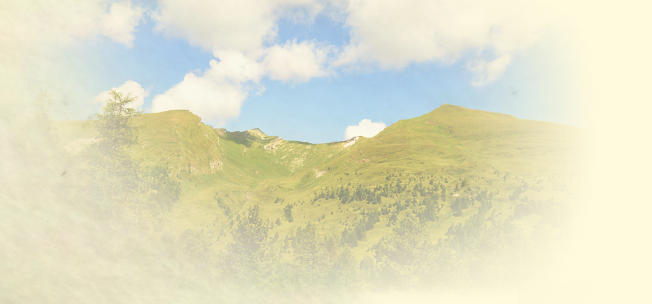 Urlaub auf der Alm - Konditionen