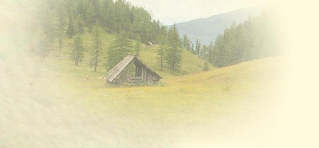 Wansingalm - unten um Tal